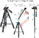 10089015_1.webp