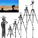 10089014_3.webp