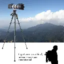 10089014_6.webp