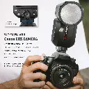 10102885_7.webp