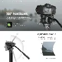 10101043_2.webp